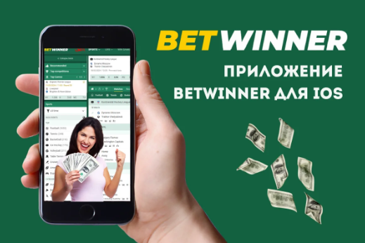 Comprehensive Support Betwinner Guide