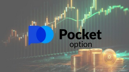 Exploring Pocket Option Contacts A Comprehensive Guide